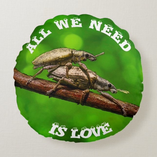 Bug-overs op de afdeling rond kussen (Voorkant)