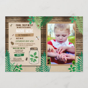 Bug Scavenger Foto Jacht Hout Feest Bladeren Blad Kaart