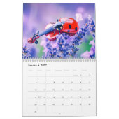 Bug Symfonie – Muzikale Insecten in Bloei 2026 Kalender (Jan 2027)