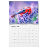 Bug Symphony – Musical Insects in Bloom 2026 Kalender (Jan 2026)