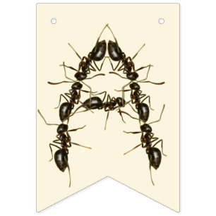 Bug Verjaardag - Insecten Verjaardag Vlaggetjes
