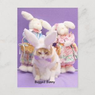 Bugged Bunny Briefkaart
