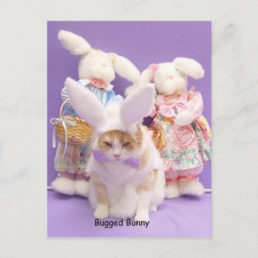 Bugged Bunny Briefkaart (Voorkant)