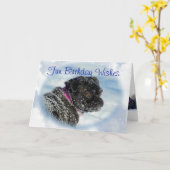 Buggs Dog in Sneeuwkaart om het even welke gelegen Kaart (Gele Bloem)