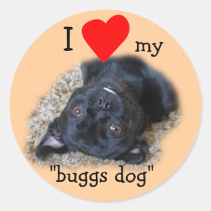 Buggs Dog Stickers-uw afbeelding of de mijne Ronde Sticker