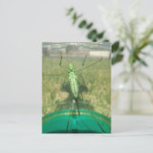 Buggy 1 - opgeleide brainfart briefkaart (Staand voorkant)