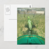 Buggy 1 - opgeleide brainfart briefkaart (Voorkant / Achterkant)