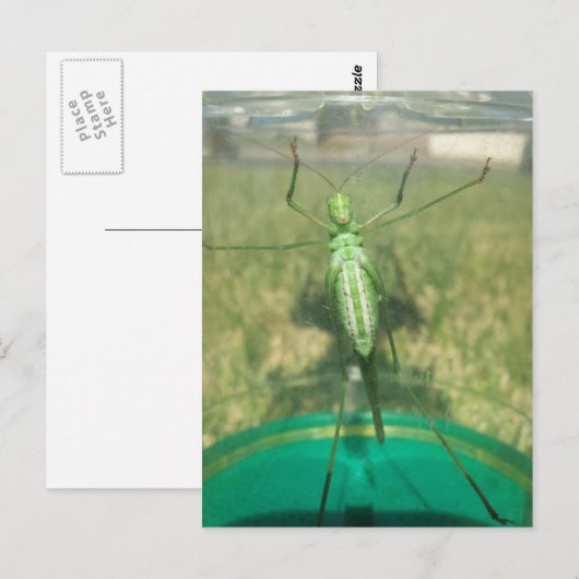 Buggy 1 - opgeleide brainfart briefkaart (Voorkant / Achterkant)