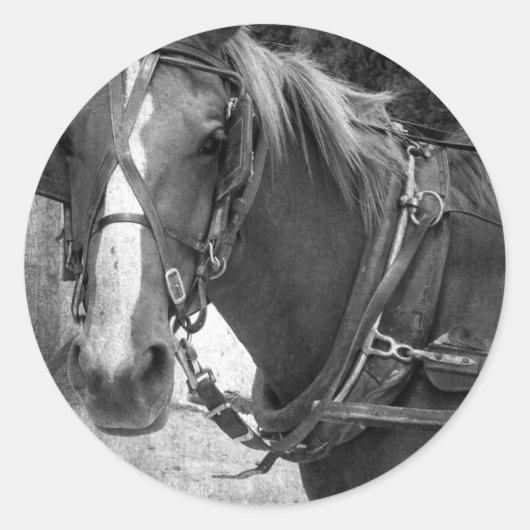 Buggy Horse bij Hitching Post Ronde Sticker (Voorkant)