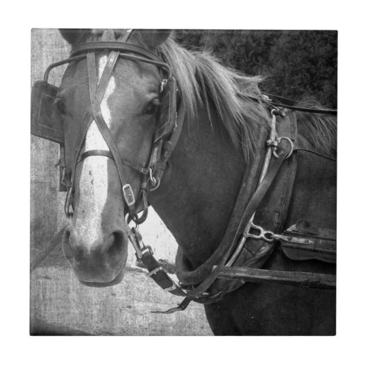 Buggy Horse bij Hitching Post Tegeltje (Voorkant)