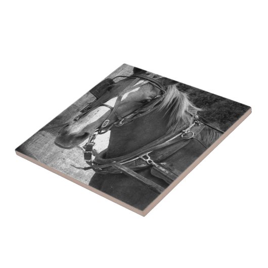 Buggy Horse bij Hitching Post Tegeltje (Zijkant)