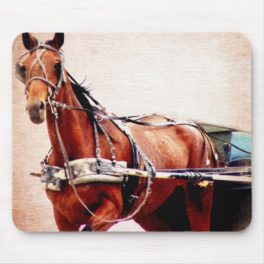 Buggy Horse Muismat (Voorkant)