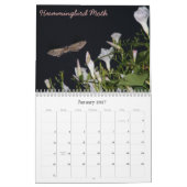 bugkalender kalender (Jan 2027)