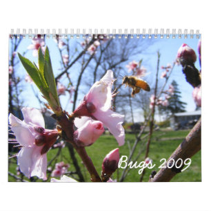  bugkalender kalender
