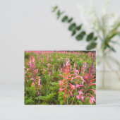 Buglelelie (Watsonia) Bloem, Oost-Kaap Briefkaart (Staand voorkant)