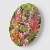 Buglelelie (Watsonia) Bloem, Oost-Kaap Grote Klok (Hoek)