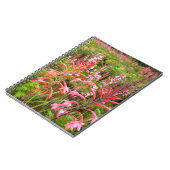 Buglelelie (Watsonia) Bloem, Oost-Kaap Notitieboek (Linkerzijde)