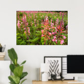 Buglelelie (Watsonia) Bloem, Oost-Kaap Poster (Thuiskantoor)