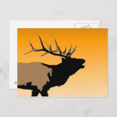 Bugling Bull Elk bij Sunset Original Wildlife Art Briefkaart (Voorkant / Achterkant)
