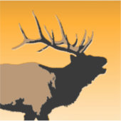 Bugling Bull Elk bij Sunset Original Wildlife Art Sticker (Voorkant)