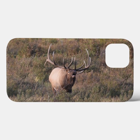 Bugling Elk Case-Mate iPhone Case (Achterkant (horizontaal))