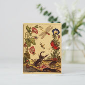 Bugs 1764 briefkaart (Staand voorkant)