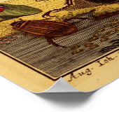 Bugs 1764 poster (Hoek)