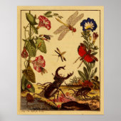 Bugs 1764 poster (Voorkant)