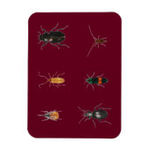 Bugs 2011 magneet (Verticaal)