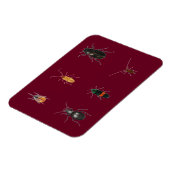 Bugs 2011 magneet (Linkerzijde)