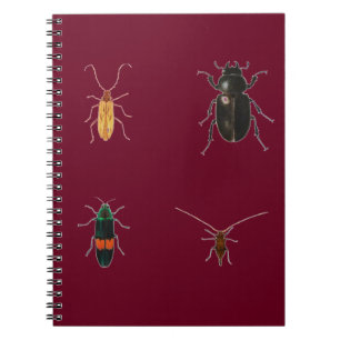 Bugs 2011 notitieboek