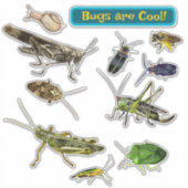 Bugs are Cool! Insects Sticker (Voorkant)