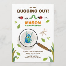 Bugs Boy