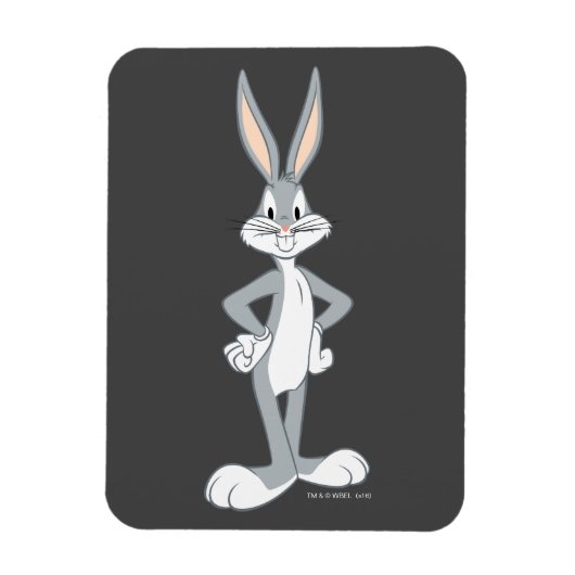 BUGS BUNNY™ | Bunny Stare Magneet (Verticaal)