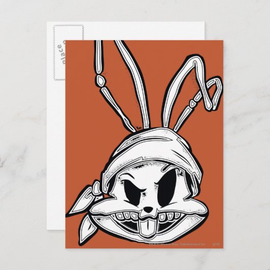 BUGS BUNNY™ Pirate Briefkaart (Voorkant / Achterkant)