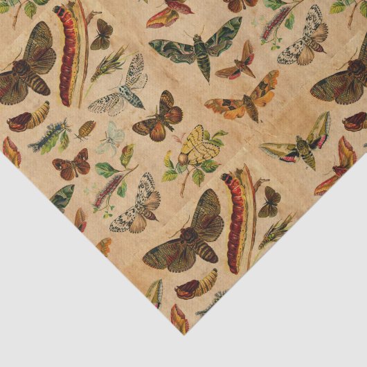 Bugs & Butterflies - verfijnd papierpatroon Tissuepapier (Detail)