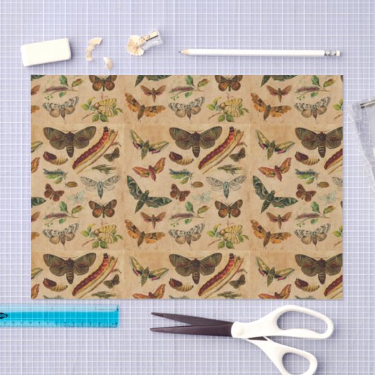 Bugs & Butterflies -  verfijnd papierpatroon Tissuepapier (Craft)