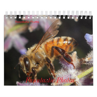 Bugs en Bloemen Kalender