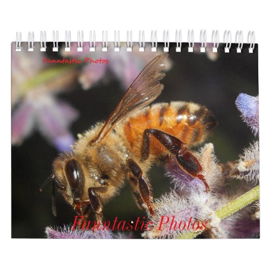 Bugs en Bloemen Kalender (Hoes)