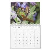 Bugs en Bloemen Kalender (Jan 2027)