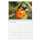 Bugs en Bloemen Kalender (Mar 2027)