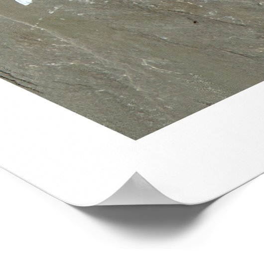 Bugs en Brew afdrukken met rand Poster (Hoek)