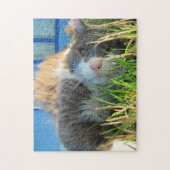 Bug's eye uitzicht door djoneill legpuzzel (Verticaal)