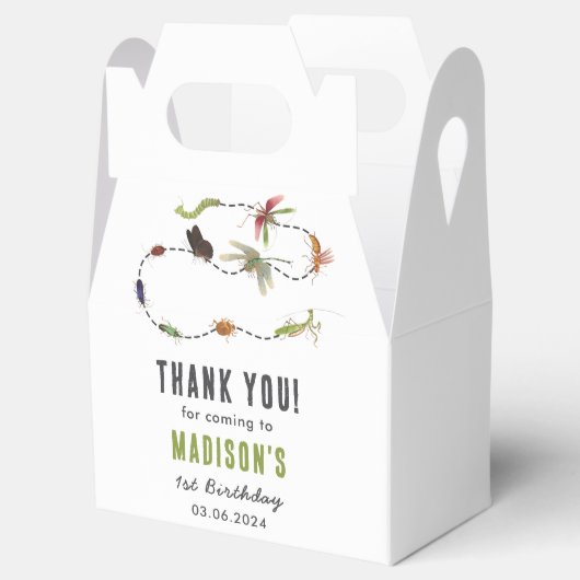 Bugs & Insecten Boy Verjaardagsfeest Bedankdoosjes (Geopend)