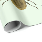 Bugs Insects Beetles Entomology wildlife Art Cadeaupapier (Rol Hoek)