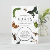 Bugs & Insects  Boy 1st verjaardag Kaart (Staand voorkant)