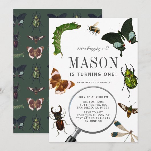 Bugs & Insects  Boy 1st verjaardag Kaart (Voorkant / Achterkant)