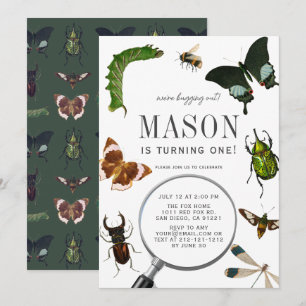 Bugs & Insects  Boy 1st verjaardag Kaart