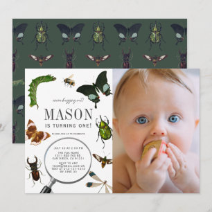 Bugs & Insects  Boy Foto 1 september Kaart