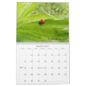 BUGS! Kalender 2012 (Mar 2027)